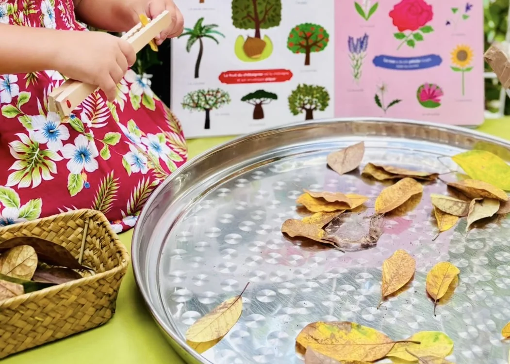Atelier nature aux Makis : un enfant saisit des feuilles sèches avec une pince en bois, devant des imagiers d’arbres et de fleurs